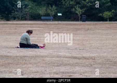 Burnham, Buckinghamshire, UK. 16th August, 2022. A lady sits on parched grass in Burnham Park on a cooler but muggy day. Credit: Maureen McLean/Alamy Live News Stock Photo