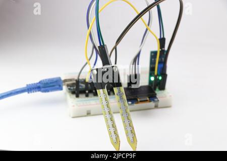 Soil moisture sensor with some breadboard circuit using a programmable micro controller. Digital soil moisture meter project Stock Photo