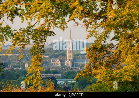 Salisbury Cathedral seen from Old Sarum at sunrise, Wiltshire, England. Stock Photo