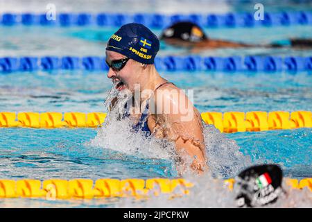 ROME, ITALY - AUGUST 17: Sophie Hansson of Sweden during the women's 4x 100m medley at the European Aquatics Roma 2022 at Stadio del Nuoto on August 17, 2022 in Rome, Italy (Photo by Nikola Krstic/Orange Pictures) NOCNSF Stock Photo