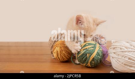 Portrait of cute baby kitten biting and playing with balls of wool of different colors on wooden table against pink background Stock Photo