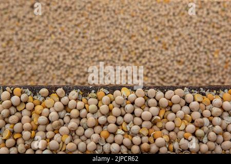 Imported food grain chickpea boots Stock Photo