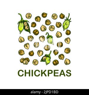 Colorful chickpeas design. Hand drawn illustration in colored sketch style. Botany design for packaging, label, banner, logo Stock Vector