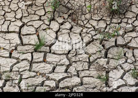 dried earth Stock Photo