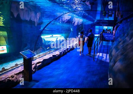 People standing in the tunnel on the bottom of the gigantic fish tank at the Dubai Aquarium  Aquatic Zoo in Dubai, UAE, gazing at fish and sharks Stock Photo