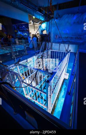 View of the steel shark cage for diving in the huge fish tank of the Dubai Aquarium and Underwater Zoo in Dubai, UAE Stock Photo