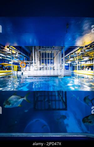 View of the steel shark cage for diving in the huge fish tank of the Dubai Aquarium & Underwater Zoo in Dubai, UAE Stock Photo