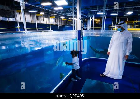 View of an Arab man in traditional dress showing his daughter the big fish at the feeding platform of the Underwater Zoo at the Dubai Aquarium, UAE Stock Photo