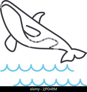 killer whale line icon, outline symbol, vector illustration, concept sign Stock Vector