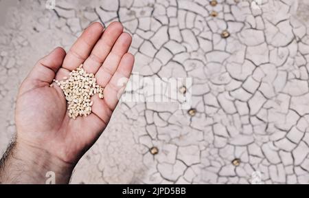 a man left to eat a little grain. holding cereal grains in hand and dried earth in the background. dehydrated farmland and famine. famine of the night Stock Photo