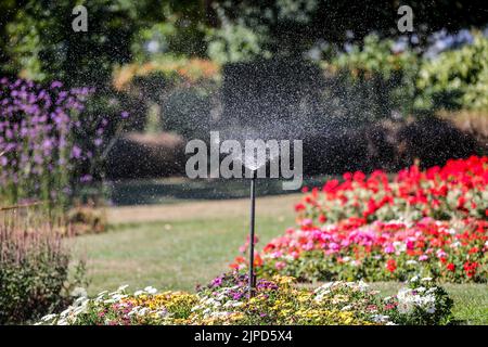 London, UK. 11th Aug, 2022. A sprinkler seen watering flowers in London. Thames Water has announced that a hosepipe and sprinkler ban will come into force from 24 August 2022 that will affect over 10 million customers across the south of England. (Photo by Dinendra Haria /SOPA Images/Sipa USA) Credit: Sipa USA/Alamy Live News Stock Photo