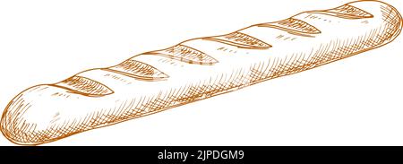 Baguette, wheat bread, pastry food isolated sketch. Vector bakery product of oblong shape Stock Vector