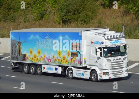 TransWhite Portuguese international transport business side & front view Scania R730 hgv lorry truck & articulated trailer flower graphics UK motorway Stock Photo
