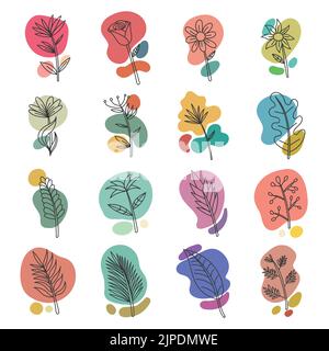 Floral plants boho aesthetic collection vector illustration Stock Vector