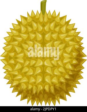 Durian exotic dessert, tasty yellow pulp isolated flat cartoon design. Vector tropical Durio zibethinus, vegetarian food snack. Asian smelling fruit with odour flavour, breadfruit jackfruit Stock Vector