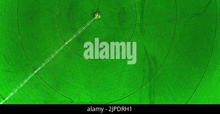 Aerial view from a drone flying above a green farm field growing crops growth with irrigation pivot sprinklers Stock Photo