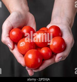 Two female hands are covered with red tomatoes, with the shape of the heart Stock Photo