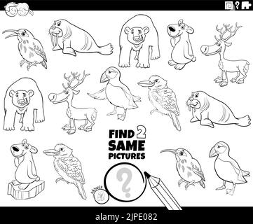 Black and white cartoon illustration of finding two same pictures educational game with comic animal characters coloring page Stock Vector