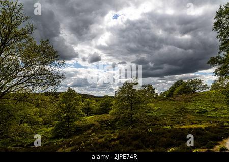 Gjern Bakker, Denmark. A hilly landscape created by the Ice Age Stock Photo