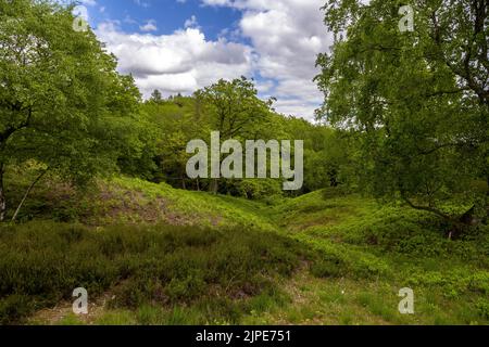 Gjern Bakker, Denmark. A hilly landscape created by the Ice Age Stock Photo