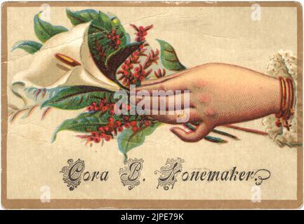 Turn of the century Victorian vintage decorative greeting card with color illustration of hand holding a white lily - floral - circa 1880 - 1900 Stock Photo