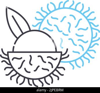 rambutan line icon, outline symbol, vector illustration, concept sign Stock Vector