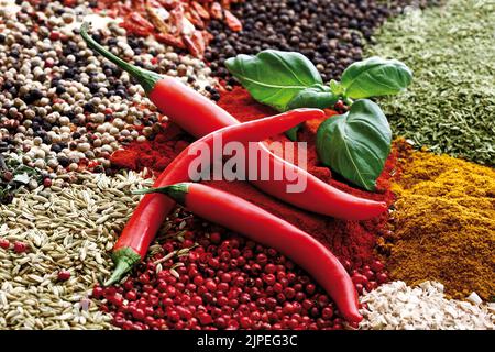 basil, spices, chili, basils, spice Stock Photo