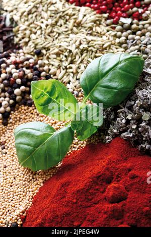 spices, herb, spice, herbs Stock Photo