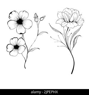 Set Flowers Periwinkle. Hand drawing. Outline. On a white background. Beautiful sketch of a tattoo - a delicate twig with flowers. botany design eleme Stock Photo