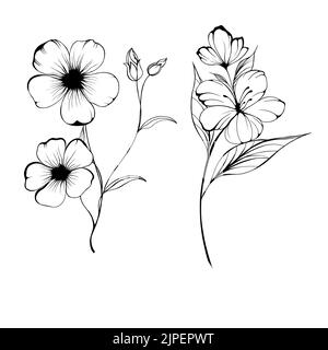 Premium Vector  Violet primrose drawing february birth flower violet  primrose drawing minimalist primrose tattoo