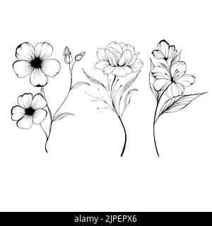 Set Flowers Periwinkle. Hand drawing. Outline. On a white background. Beautiful sketch of a tattoo - a delicate twig with flowers. botany design eleme Stock Photo