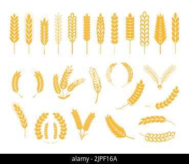 Ears of wheat, ear of rye, spikelet set vector. Cereals plant icons in flat style for cafe, product package. Stock Vector
