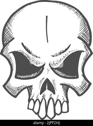 Drawing Study Human skeleton Skull Sketch, skull, pencil, face png | PNGEgg