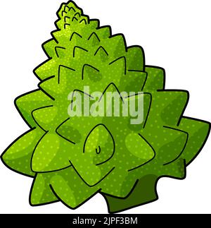 Green Romanesco cauliflower isolated Roman cauliflower. Vector Broccolo Romanesque edible flower bud of Brassica Stock Vector