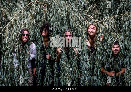 Five men poke their heads through weeping willow tree branches pulling funny faces. Rock band photo shoot Stock Photo