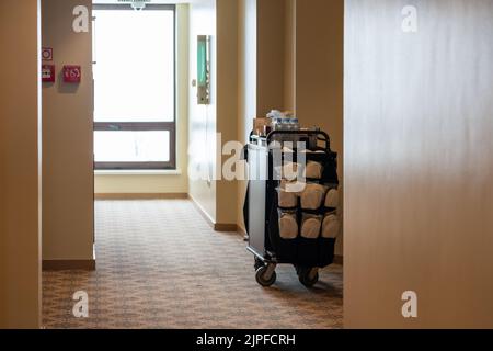 A cleaning trolley used by maids in a deserted hotel corridor Stock Photo