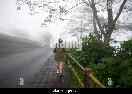 Person walking alone on a path surrounded by woods on a misty morning. Woman walking from behind on sidewalk in the fog in the side of the forest. Stock Photo