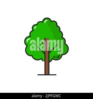 Green tree icon, forest or garden plant, vector isolated symbol of oak, maple or elm tree. Forest nature and park plant or bush in flat line or outline, linden, poplar or birch tree icon Stock Vector