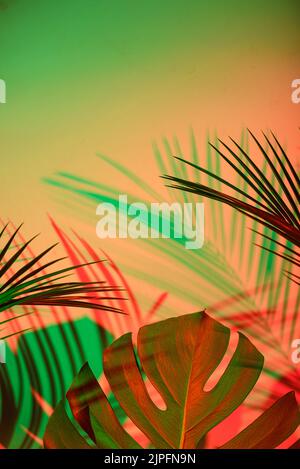 Tropical leaves in neon light with duotone shadows Stock Photo