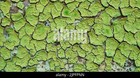 Old Peeling paint on wall Pattern rustic green grunge material Background Stock Photo