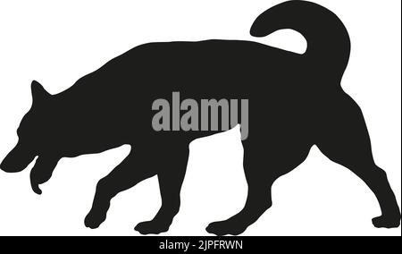 Walking and sniffing siberian husky puppy. Black dog silhouette. Pet animals. Isolated on a white background. Vector illustration. Stock Vector