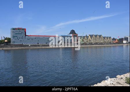 Cologne, Germany. 13th Aug, 2022. Cologne city view, The warehouses in the Rheiauhafen, Rhine with low water Credit: Horst Galuschka/dpa/Alamy Live News Stock Photo