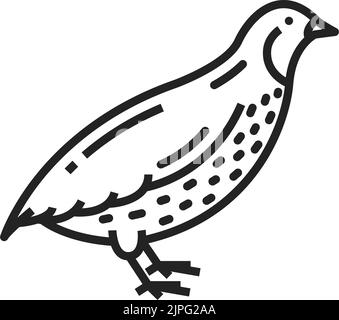 Quail bird isolated monochrome icon. Vector partridge farm animal, poultry and hunting Stock Vector