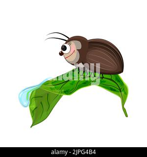 Bug on leaf.Cute cartoon beetle crawling on leaf with dew drop.Funny bug with brown wings in summer nature.Mascot character insect. Beetle icon.Vector Stock Vector