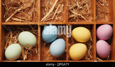 easter, chicken egg, easters, chicken eggs Stock Photo