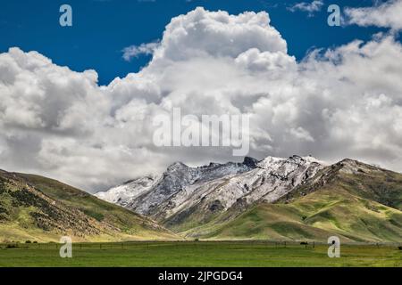 Ruby Mountains, Lamoille Canyon area, snow storm in late spring, Humboldt-Toiyabe National Forest, Nevada, USA Stock Photo