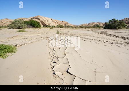 Dry river bed scenery of dried mud as patterns on the ground with tree and mountains backdrop. Swakop River, Namibia, Africa Stock Photo