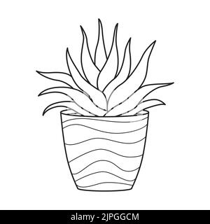 Vector outline aloe in pot. Indoor succulent plant with fleshy leaves. House plant for home and interior. Botanical doodle linear black and white illu Stock Vector