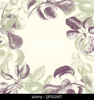 Fruity Template for inserting an inscription with fruit plum apple pear. Stamps, engravings. Engraved style of different kinds of fruit banner. Vector illustration Stock Vector