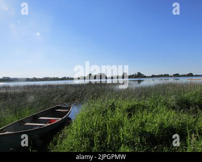 A row boat sits among the reeds on the bans of Upper Lough Erne Co.Fermanagh, Ireland. Stock Photo